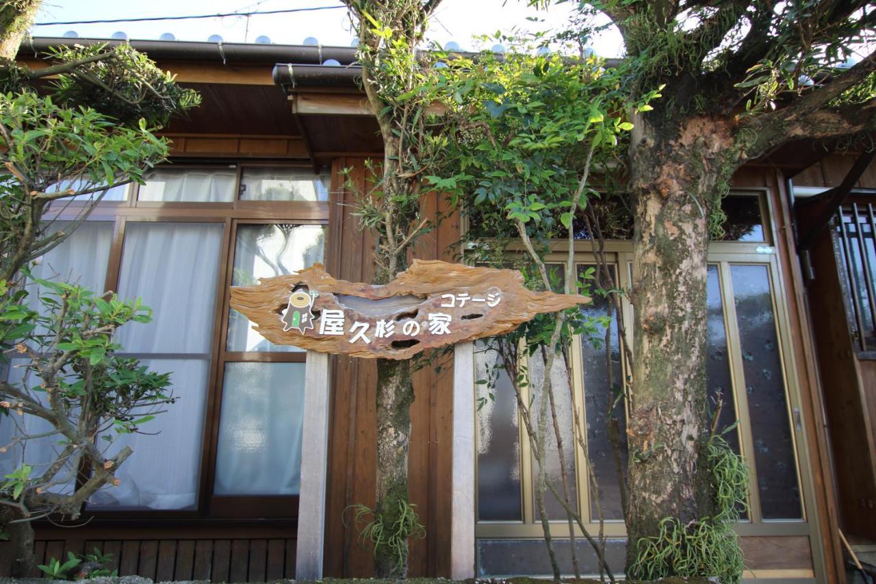 Cottage Yakusugi House Jakušima Exteriér fotografie